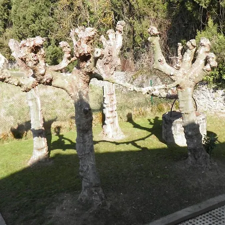 Restaurante Aldama Hotel